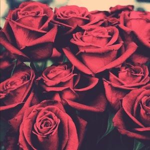 Meet your Posher, Lisbeth